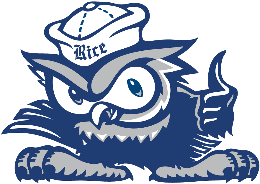 Rice Owls 2010-Pres Misc Logo diy DTF decal sticker